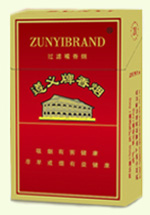 遵义(精品)